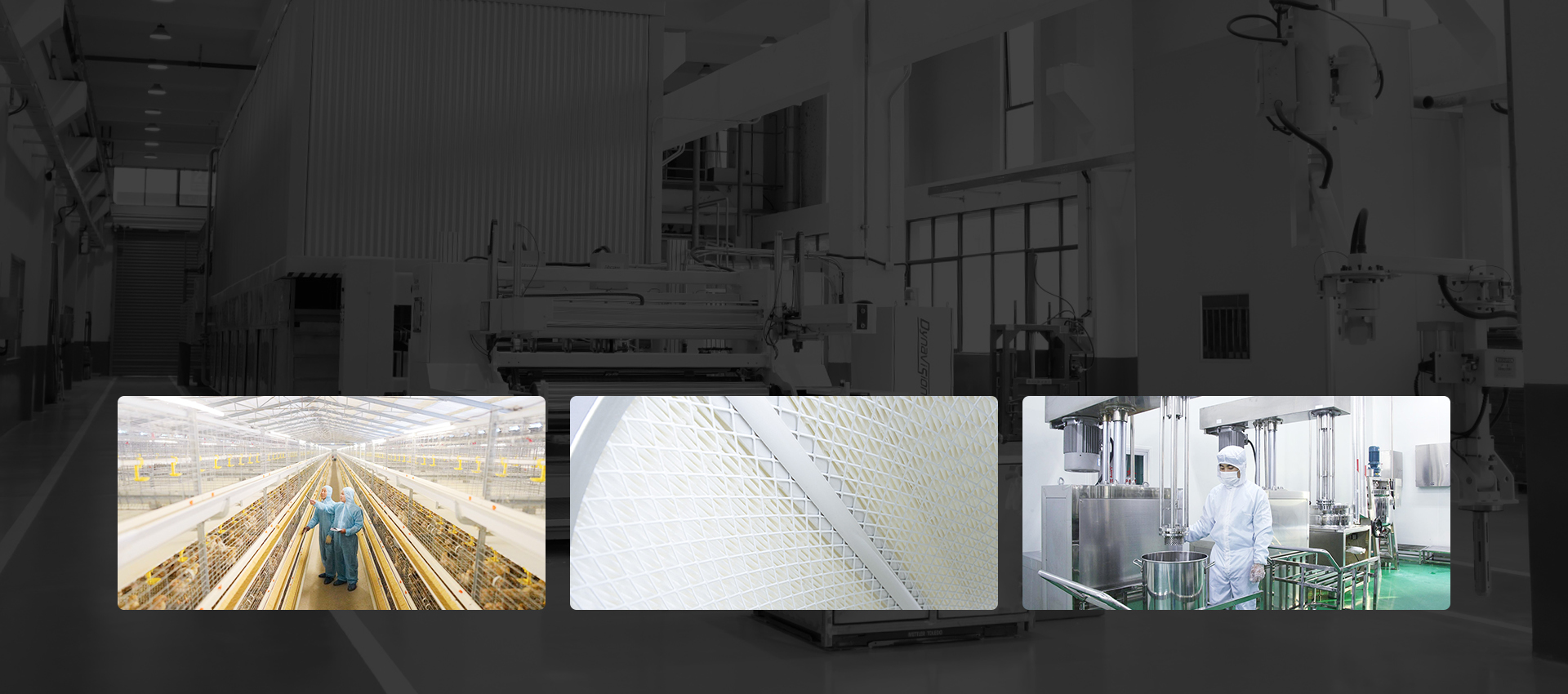 filter paper application